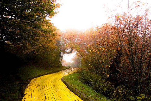 Just follow the yellow brick road...
