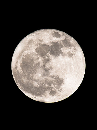 Frost Moon
