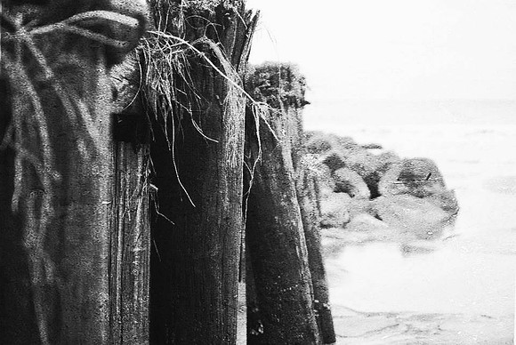 Folly // 35mm