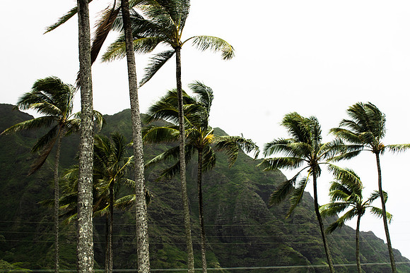 Koolau